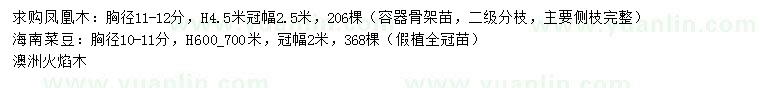 求购凤凰木、海南菜豆、澳洲火焰木