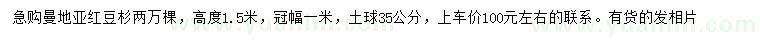 求购高1.5米曼地亚红豆杉