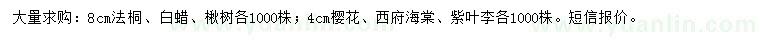 求购法桐、白蜡、楸树等