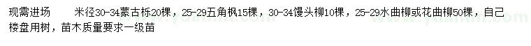 求购蒙古栎、五角枫、馒头柳等