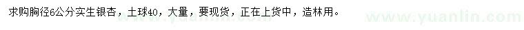 求购胸径6公分实生银杏