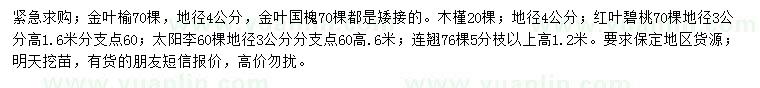 求购金叶榆、金叶国槐、木槿等