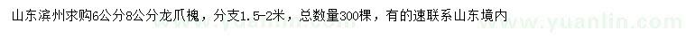 求购6、8公分龙爪槐