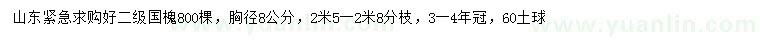 求购胸径8公分国槐