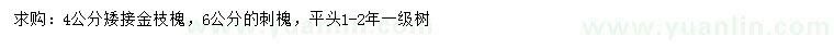 求购4公分矮接金枝槐、6公分刺槐