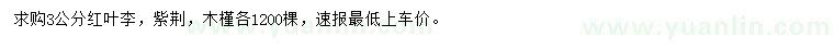 求购红叶李、紫荆、木槿