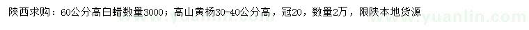 求购高60公分白蜡、30-40公分高山黄杨