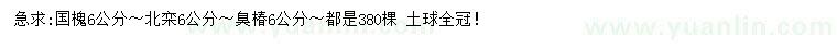 求购国槐、北栾、臭椿