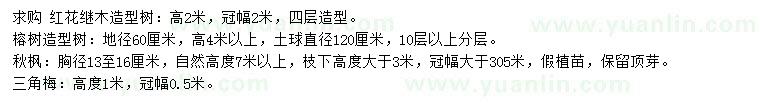 求购红花继木、榕树、秋枫等