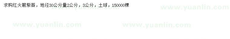 求购地径30量2、3公分红火箭紫薇