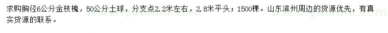 求购胸径6公分金枝槐