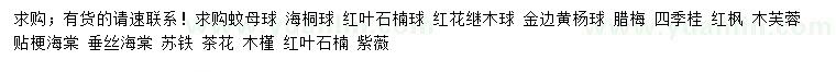 求购蚊母、海桐、红叶石楠等