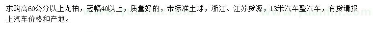 求购高60公分以上龙柏