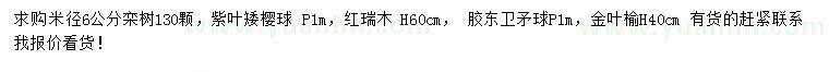 求购栾树、紫叶矮樱、红瑞木等