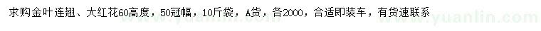 求购高60公分金叶连翘、大红花