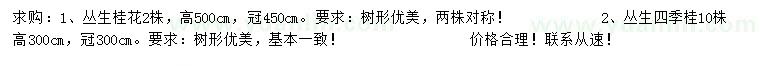 求购高500公分丛生桂花、300公分丛生四季桂