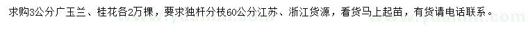 求购3公分广玉兰、桂花