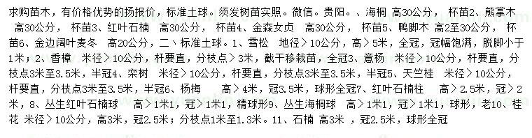 求购海桐、熊掌木、红叶石楠等