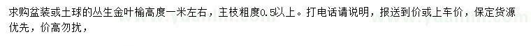 求购高1米丛生金叶榆