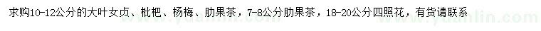 求购大叶女贞、枇杷树、杨梅树等