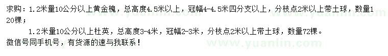 求购1.2米量10公分以上黄金槐、杜英