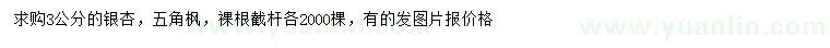 求购3公分银杏、五角枫