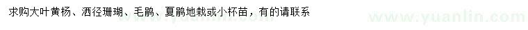 求购大叶黄杨、洒金珊瑚、毛鹃等