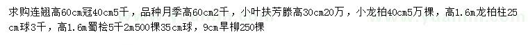 求购连翘、月季、小叶扶芳藤等