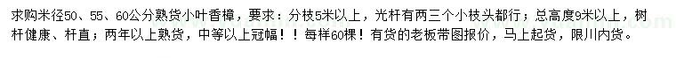 求购米径50、55、60公分小叶香樟