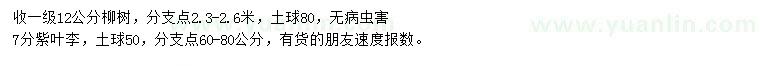 求购12公分柳树、7公分紫叶李