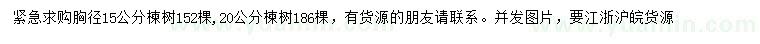 求购胸径15、20公分楝树