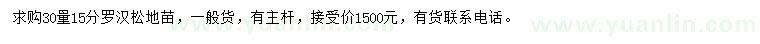 求购30量15公分罗汉松