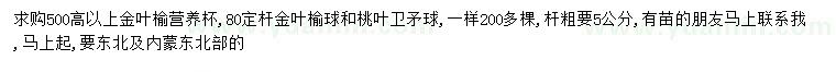 求购金叶榆、金叶榆球、桃叶卫矛球