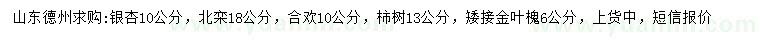 求购银杏、北栾、合欢等