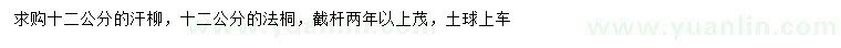 求购12公分旱柳、法桐