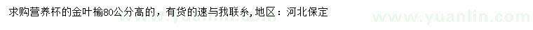 求购高80公分金叶榆