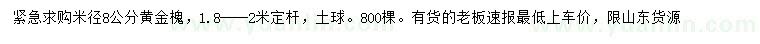 求购米径8公分黄金槐