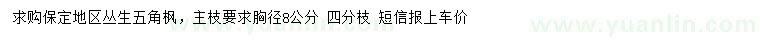 求购胸径8公分丛生五角枫