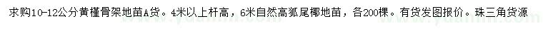 求购10-12公分黄槿、6米高狐尾椰