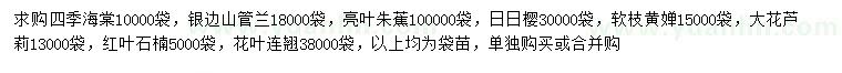 求购四季海棠、银边山管兰、亮叶朱蕉等