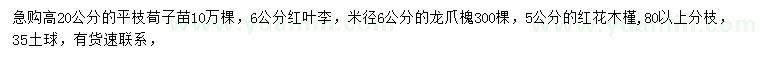 求购平枝荀子、红叶李、龙爪槐等