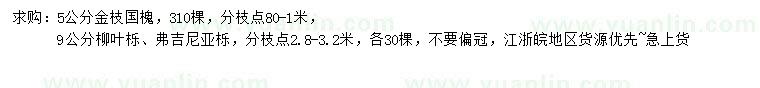 求购金枝国槐、柳叶栎、弗吉尼亚栎