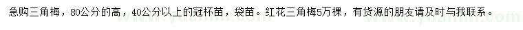 求购高80公分三角梅、红花三角梅