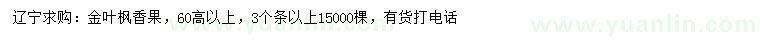 求购高60公分以上金叶风箱果