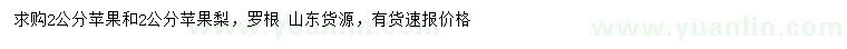 求购2公分苹果树、苹果梨树