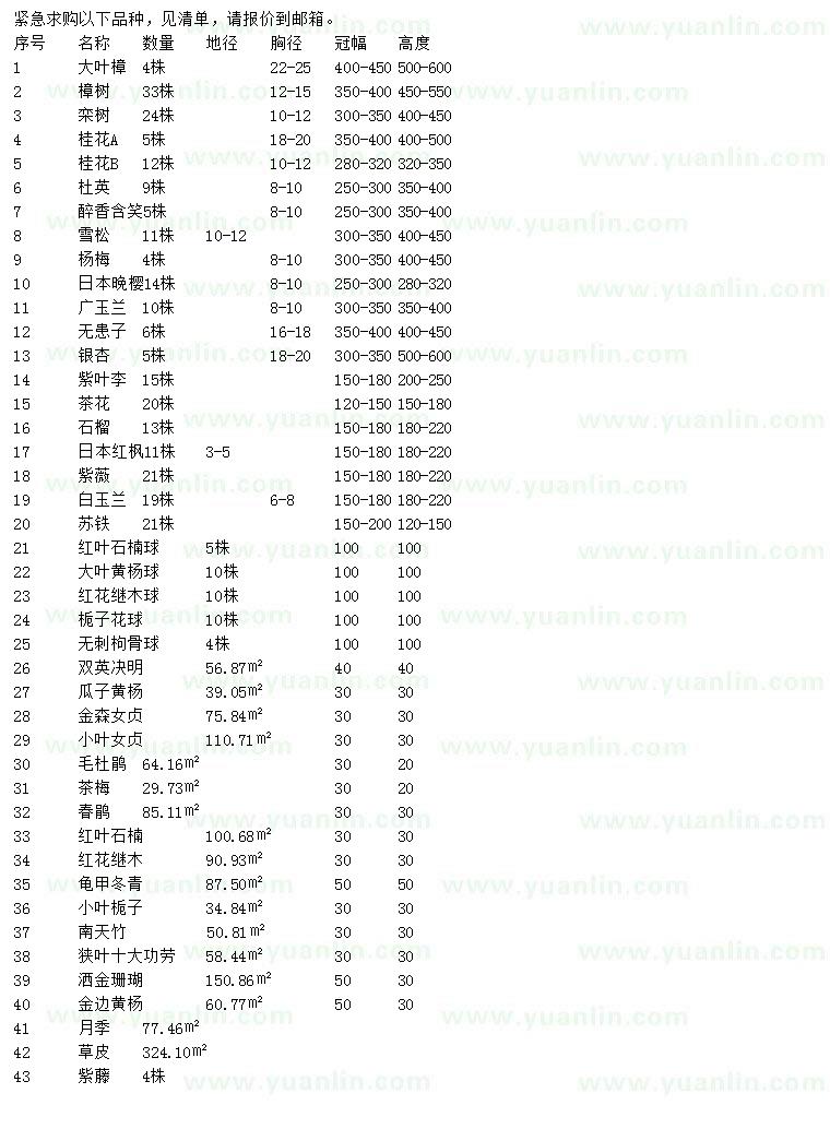 求购大叶樟、樟树、栾树等