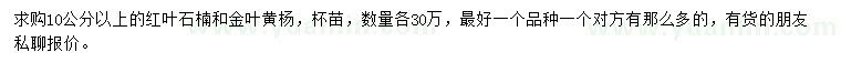 求购10公分以上红叶石楠、金叶黄杨