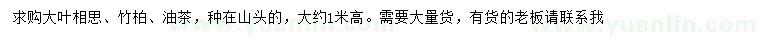 求购大叶相思、竹柏、油茶