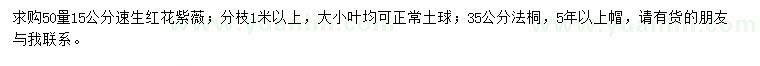 求购50量15公分速生红花紫薇、35公分法桐