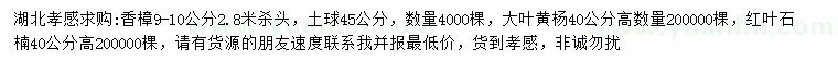 求购香樟、大叶黄杨、红叶石楠